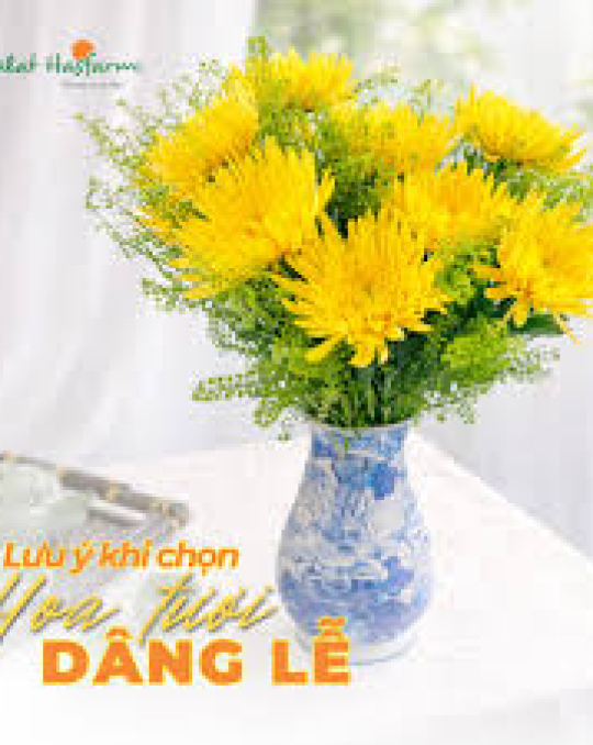 Hoa mẫu 